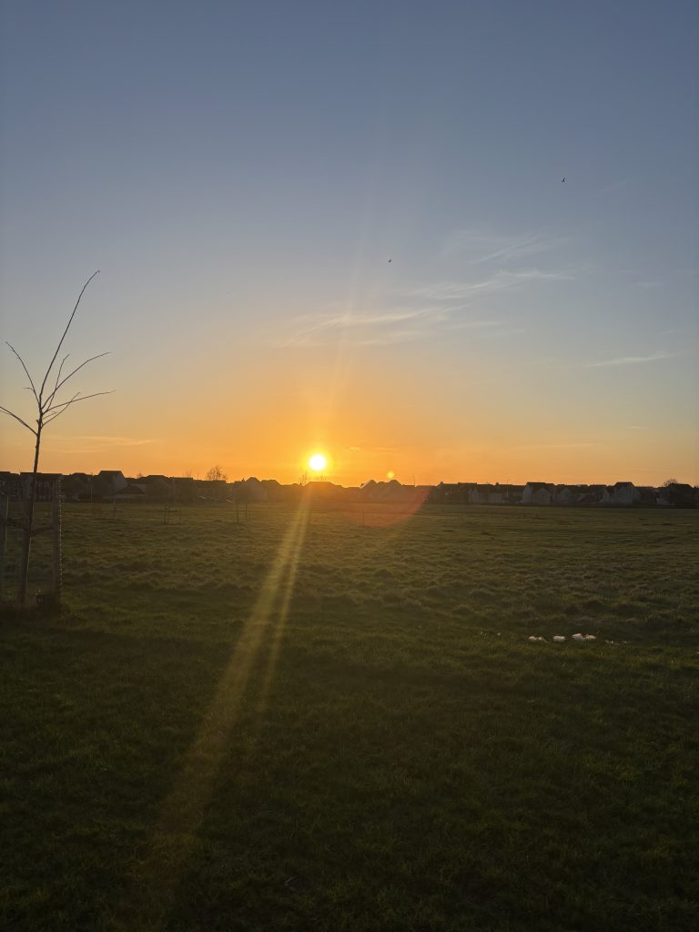 sunrise across a grassy field