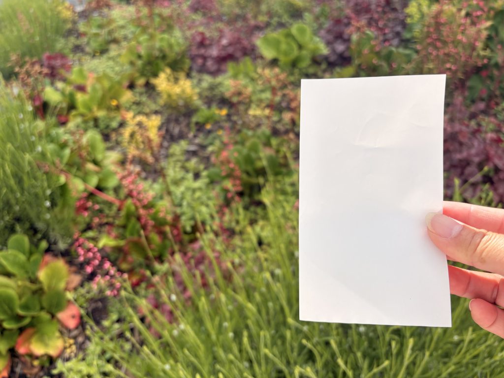 A blank receipt against a backdrop of greenery